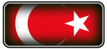 Türkçe